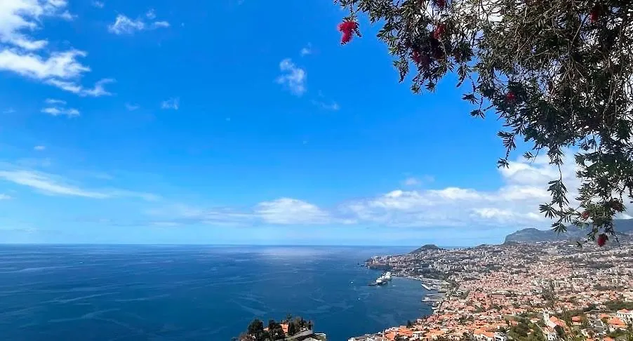 Theview Villa Funchal