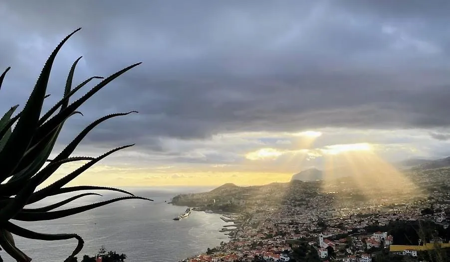 Theview Villa Funchal