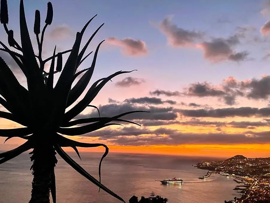 Theview Villa Funchal  Portugal