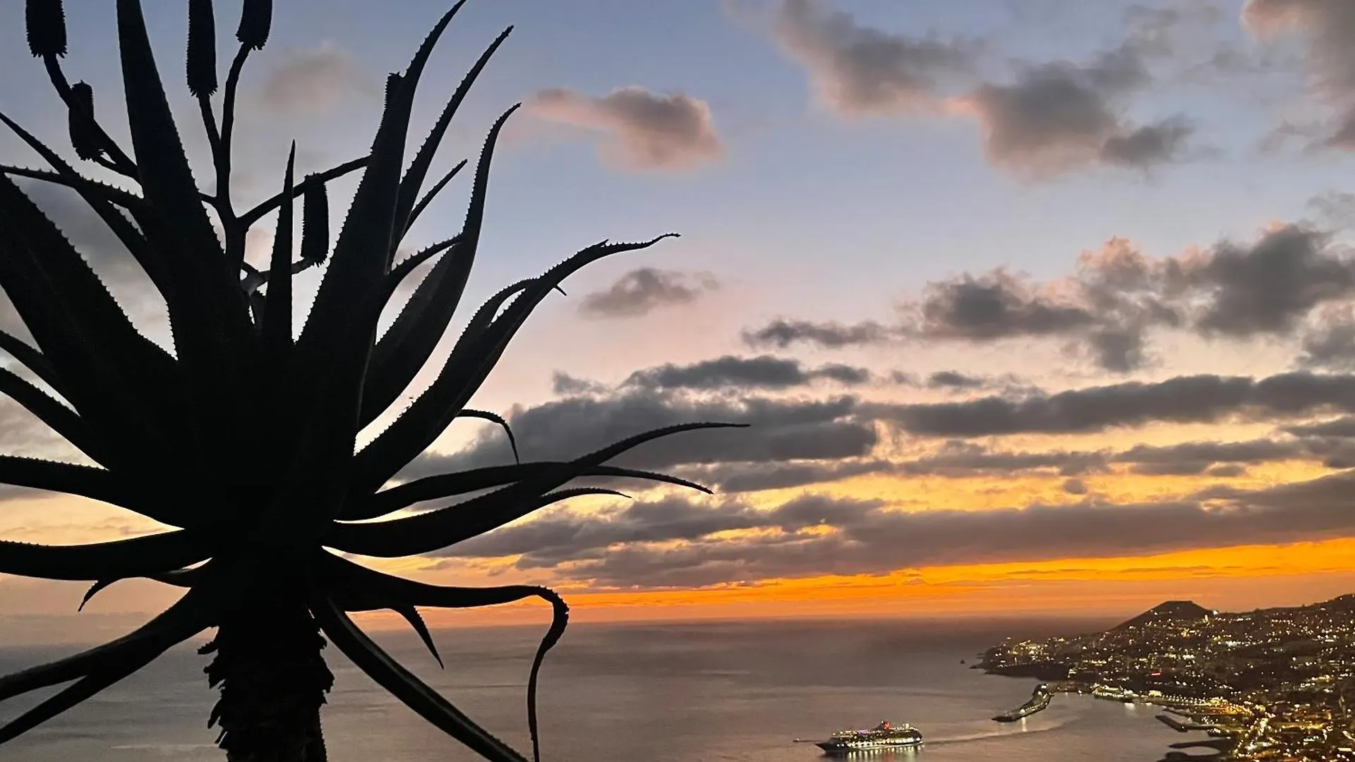 Theview Villa Funchal